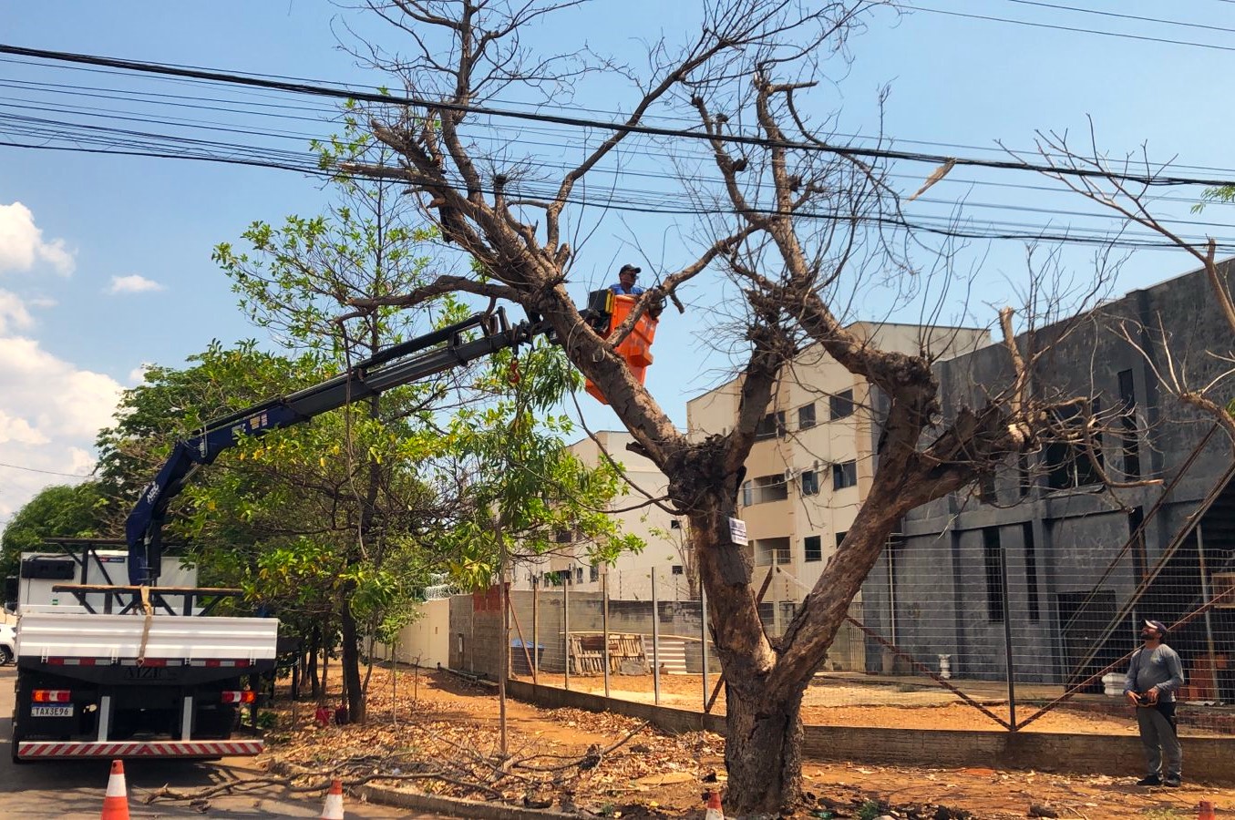 Nesta sexta-feira, 10, equipe retirou galhada na quadra Arse 71 (704 Sul)