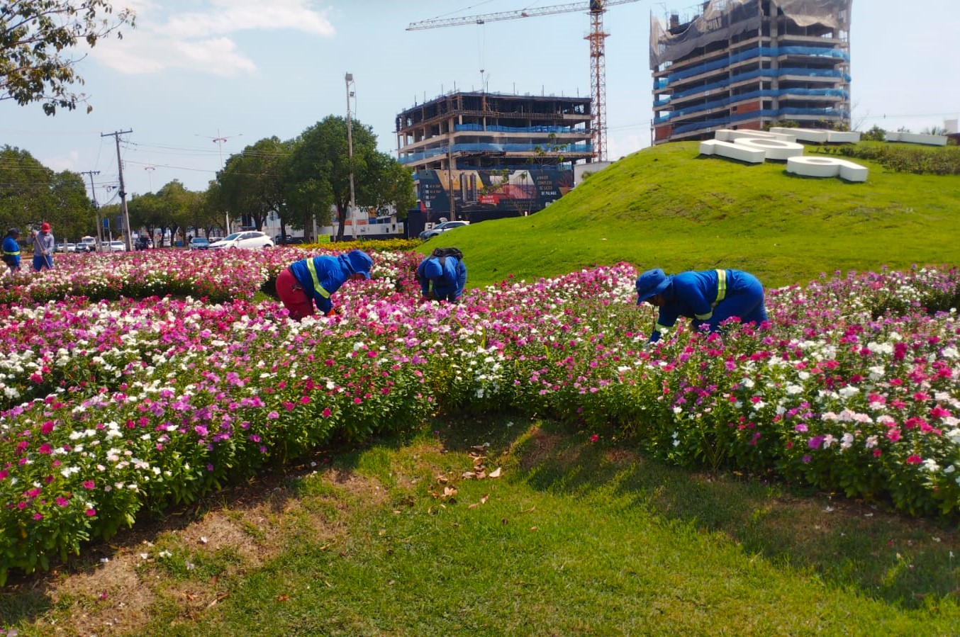 Serviço de paisagismo realizado nesta sexta-feira, 10, no relógio das flores